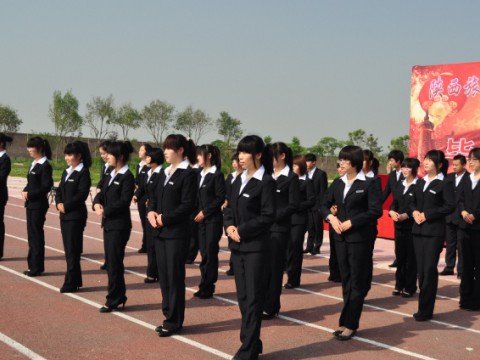给爸爸妈妈的一封信