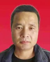杨涛