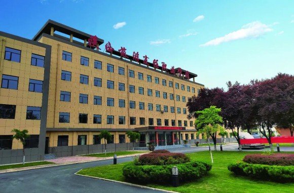 泾阳人才风采录丨杨文利