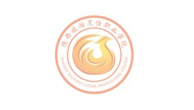 陕西省第二届“爱开云中国成为欧洲杯亚